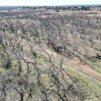 New Listing 20 - Acres Brown County images 4