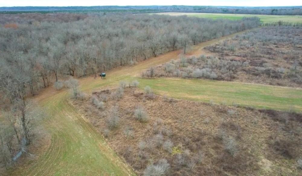 High Fence Ranch for Sale in Louisiana featured image