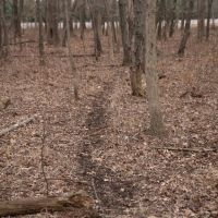 Maynard Property images 4