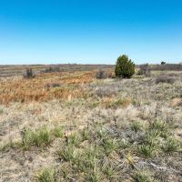 Tee Pee Flats Ranch images 4