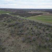 New Listing 15.731 Acres Tract 22 Callahan County images 3