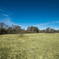 10 - 24 Acre Tracts in Hamilton Comanche Counties images 5