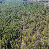 1865 N Hwy 326 Kountze Texas 77625 Hardin County images 5
