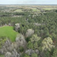 76 Acre Hunters Paradise in Fitzpatrick images 3