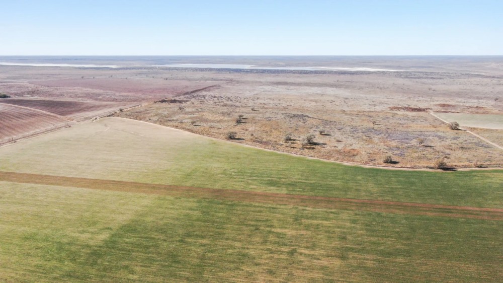 CR 328 VERSATILE Hunting Dryland Farm featured image