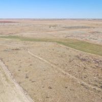CR 328 VERSATILE Hunting Dryland Farm images 5