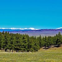 Elk Ridge Ranch images 2