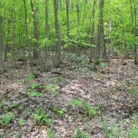 18 acre Building Lot in Conklin NY 289 Ahern Road images 3