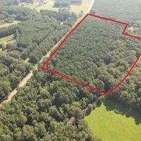 - 22 Acre Timber Hunting Tract in Amite County MS images 5