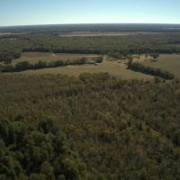 620 - Acres High Fence with Lodge for Sale Northeast LA