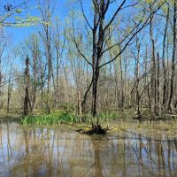 109.381 Acres in Lafayette County MS