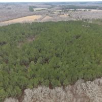 109.381 Acres in Lafayette County MS images 2