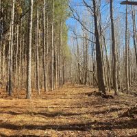 109.381 Acres in Lafayette County MS images 3