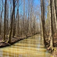 109.381 Acres in Lafayette County MS images 5