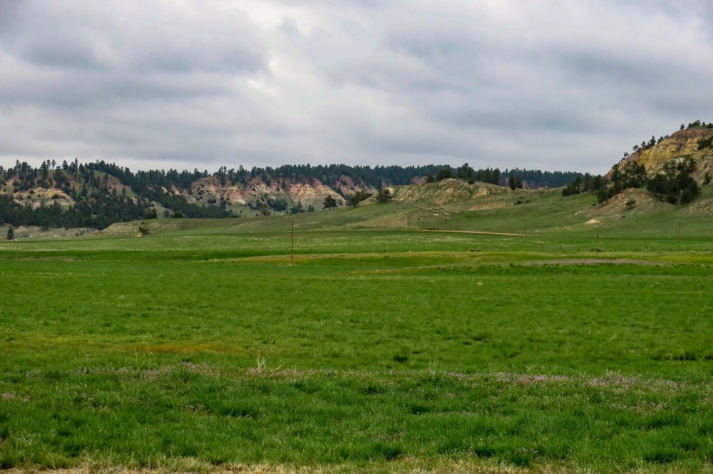 Bitter Creek Farm Ranch featured image