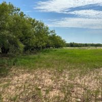 New Listing 21 Acres Tract 23 Callahan County