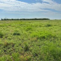 New Listing 21 Acres Tract 23 Callahan County images 2