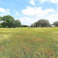 99.208 acres FM 532 Weimar TX 78962