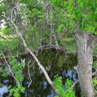 99.208 acres FM 532 Weimar TX 78962 images 3