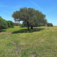 99.208 acres FM 532 Weimar TX 78962 images 4