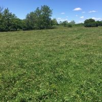 606 acres of Adams County Ohio prime ground consistently produces big bucks
