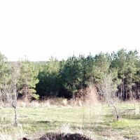 110 ac N Taylor Co. images 2