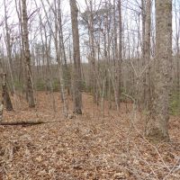 Stockton Bluffs Lane