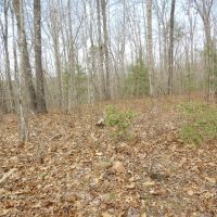 Stockton Bluffs Lane images 3