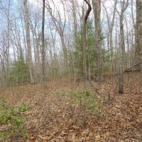 Stockton Bluffs Lane images 4