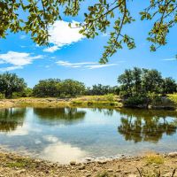 Sutton County Axis Ridge Ranch W of Junction images 3
