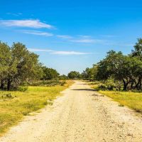 Sutton County Axis Ridge Ranch W of Junction images 5