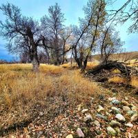 Buffalo Coulee Ranch images 4