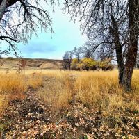 Buffalo Coulee Ranch images 5