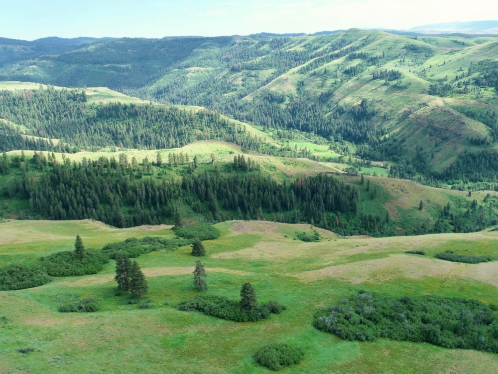 Branch Keyhole Ranch featured image