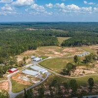 93 Ac Timber Residential Hunting Tract in Roopville GA images 2
