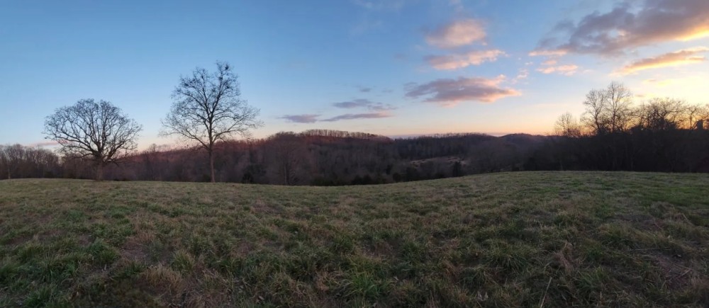62 - Acres Paradise featured image