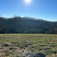 62 - Acres Paradise images 2