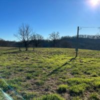 62 - Acres Paradise images 4