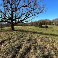 62 - Acres Paradise images 5