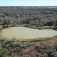 90 Acres Gonzales County images 3