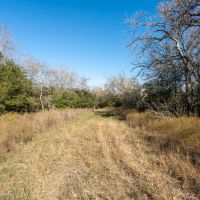 90 Acres Gonzales County images 4