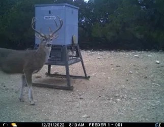 50 - Acres Callahan County featured image