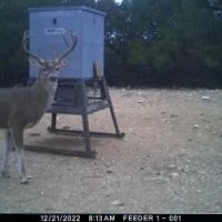 50 - Acres Callahan County