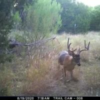 50 - Acres Callahan County images 2