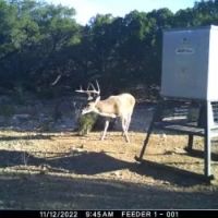 50 - Acres Callahan County images 3