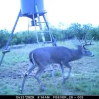 50 - Acres Callahan County images 4