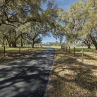 Lake Wales Equestrian Estate images 3