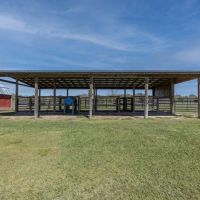 Lake Wales Equestrian Estate images 4