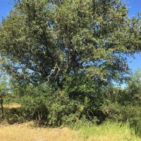 Back on Market 74 - Acres Brown County images 2