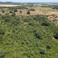 Back on Market 74 - Acres Brown County images 4